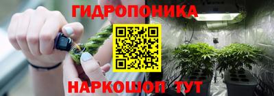 сатива Ипатово