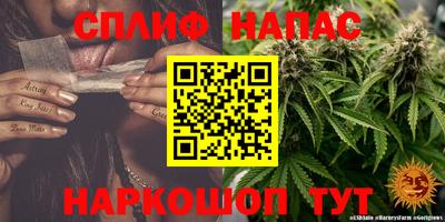 сатива Ипатово