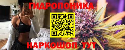 гидра Изобильный