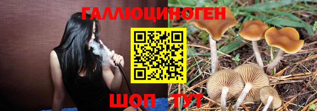 Галлюциногенные грибы ЛСД  Вход с VPN  Шали  Псилоцибиновые грибы GOLDEN TEACHER 